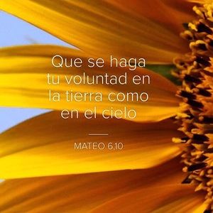 Meet your Posher, Marcy